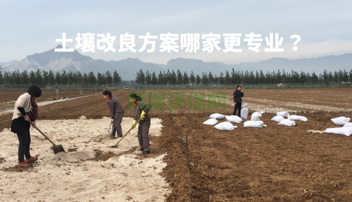 土壤改良方案哪家更專業(yè)？怎么比較？